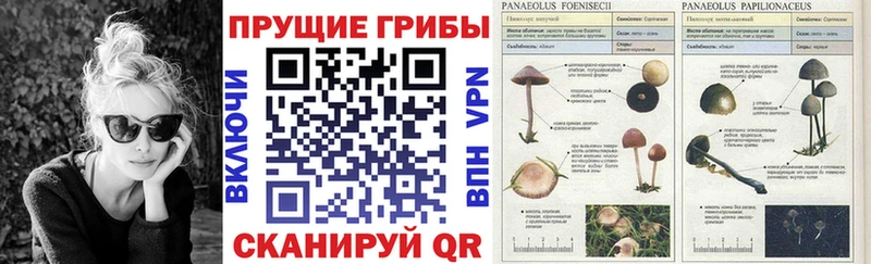 Псилоцибиновые грибы ЛСД  Ковылкино 